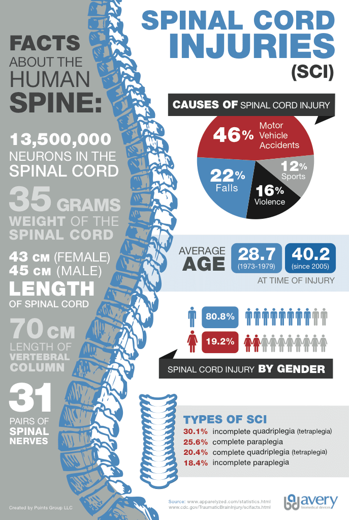 Spinal Cord Injury Information (Infographic) Avery Biomedical